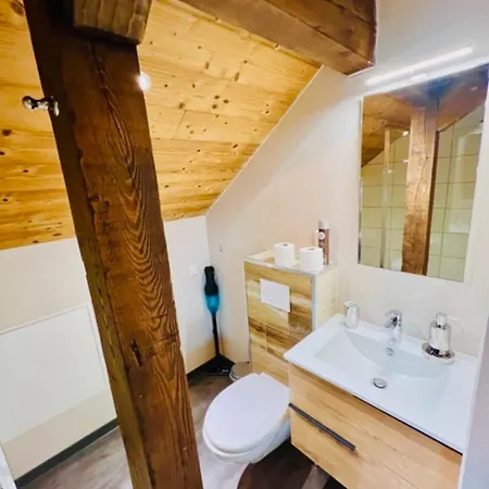 Spacious Facing * Gérardmer
